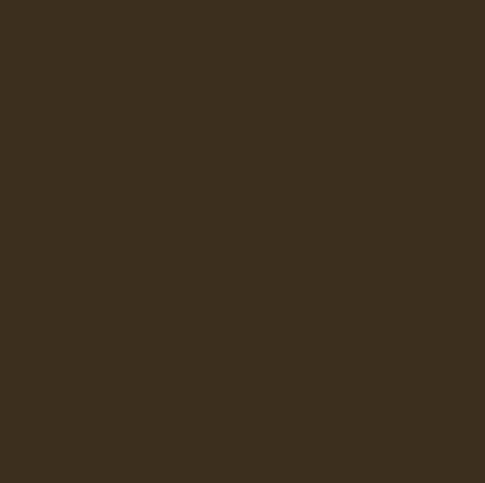 Chromacolour Animation Cel Paint - Brown 62 - Vinyl cel paint