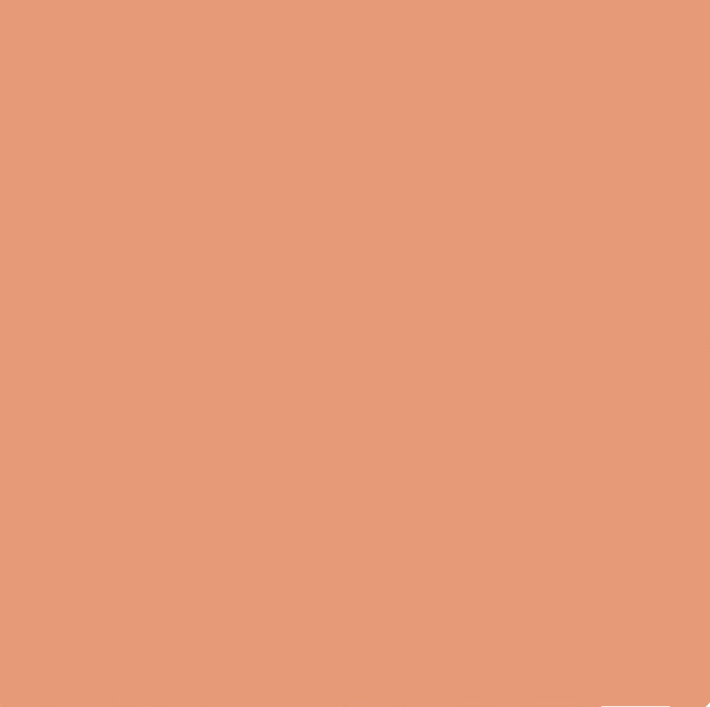 Chromacolour Animation Cel Paint - Flesh 69 - Cartoon cel paint