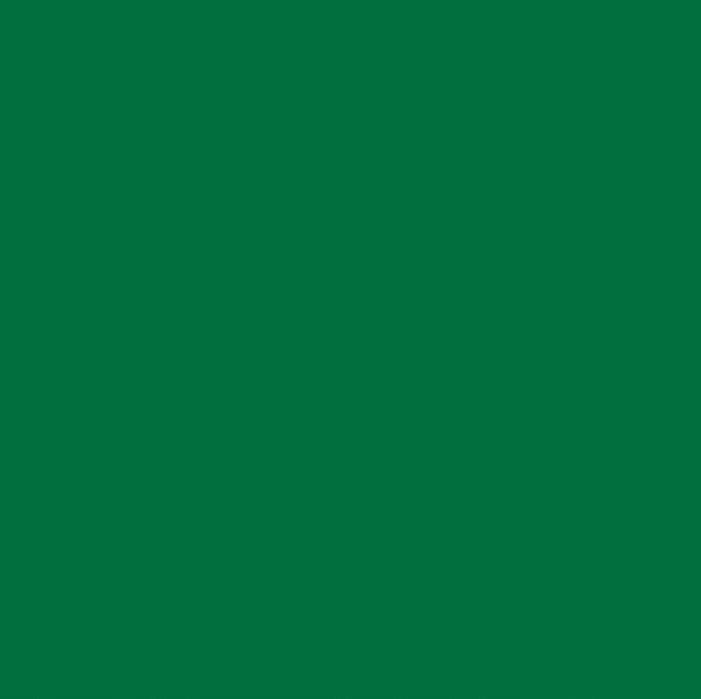 Chromacolour Animation Cel Paint - Green 52 - Vinyl animation paint