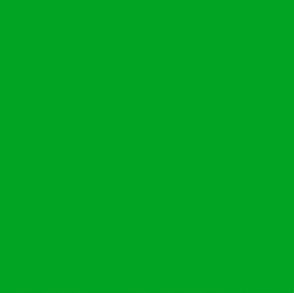 Chromacolour Animation Cel Paint - Green 54 - Vinyl animation colors