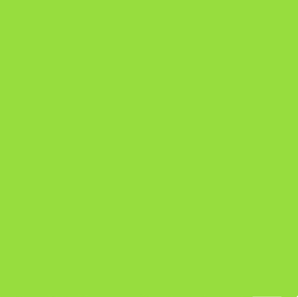 Chromacolour Animation Cel Paint - Green 56 - Vinyl animation colour
