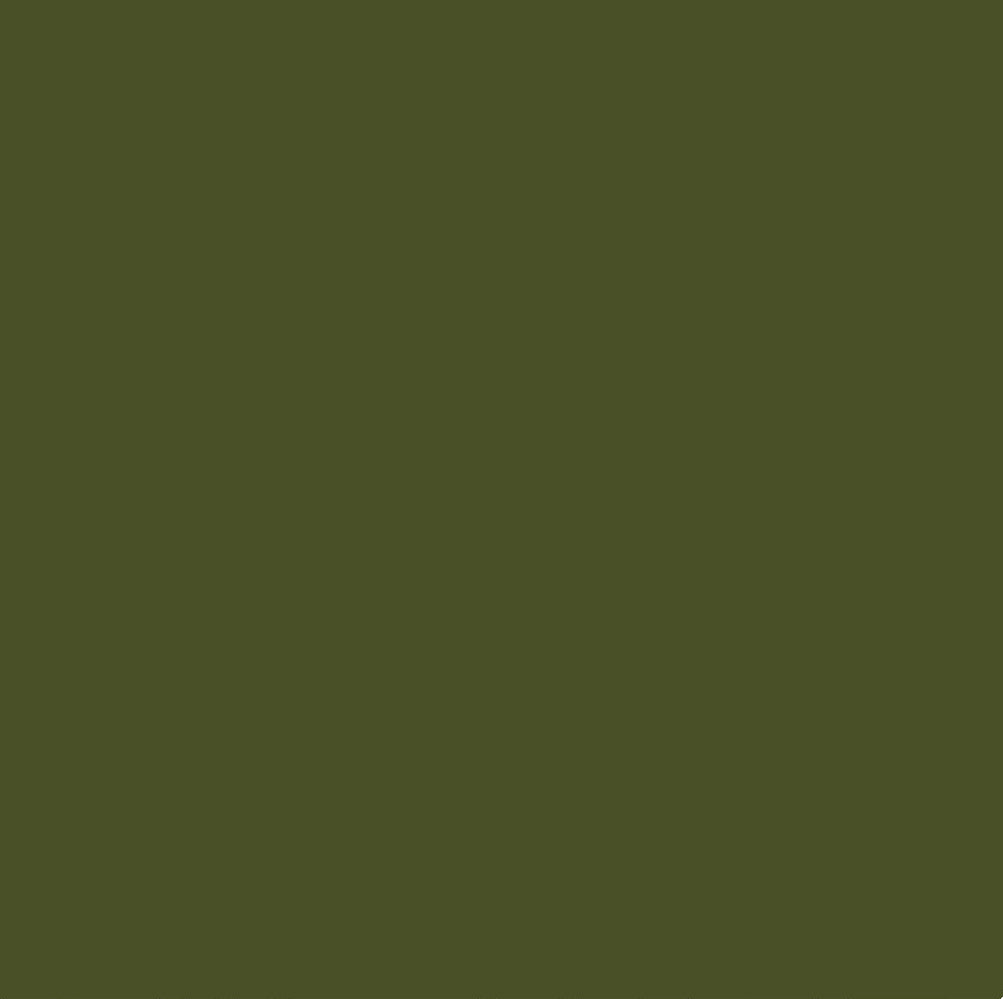 Chromacolour Animation Cel Paint - Green 58 - Vinyl cartoon paint