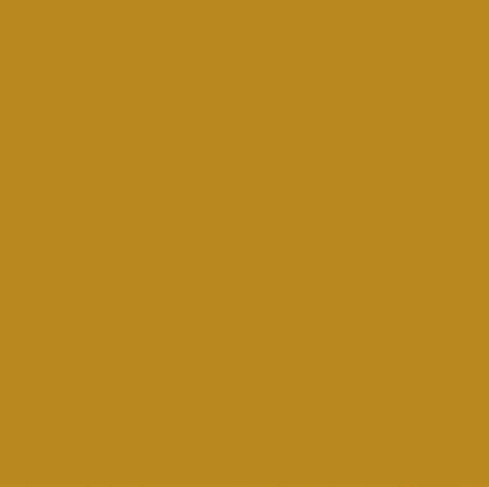 Chromacolour Animation Cel Paint - Ochre 59 - Vinyl colour for cartoons
