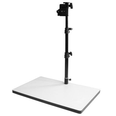 Medium Animation Rostrum
