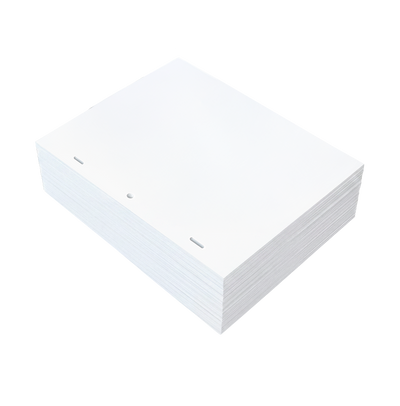 Animation Paper - Chromacolour Pro Grade 70 - 12 Field Punched, 70gsm