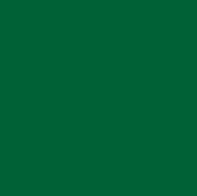 Chromacolour Animation Cel Paint - Green 49 - Vinyl colour