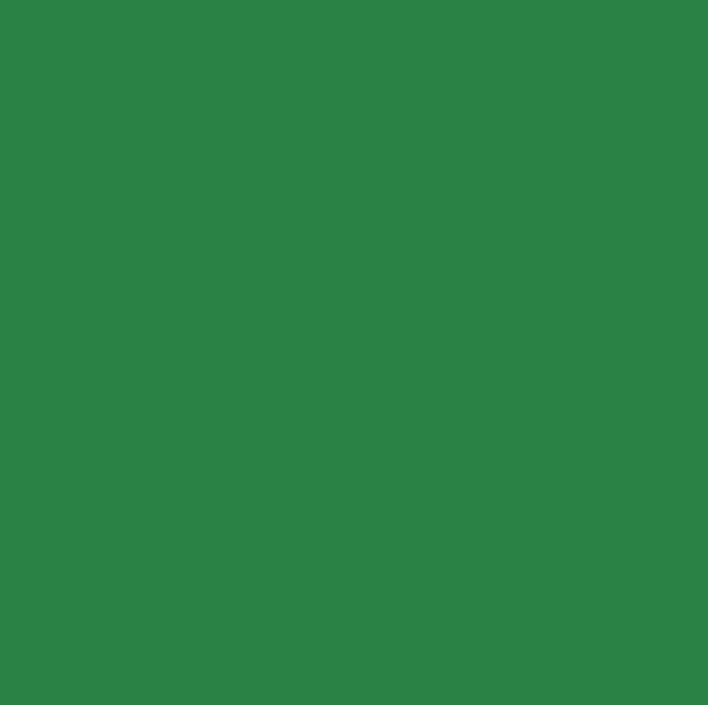 Chromacolour Animation Cel Paint - Green 50 - Vinyl cartoon paint colour