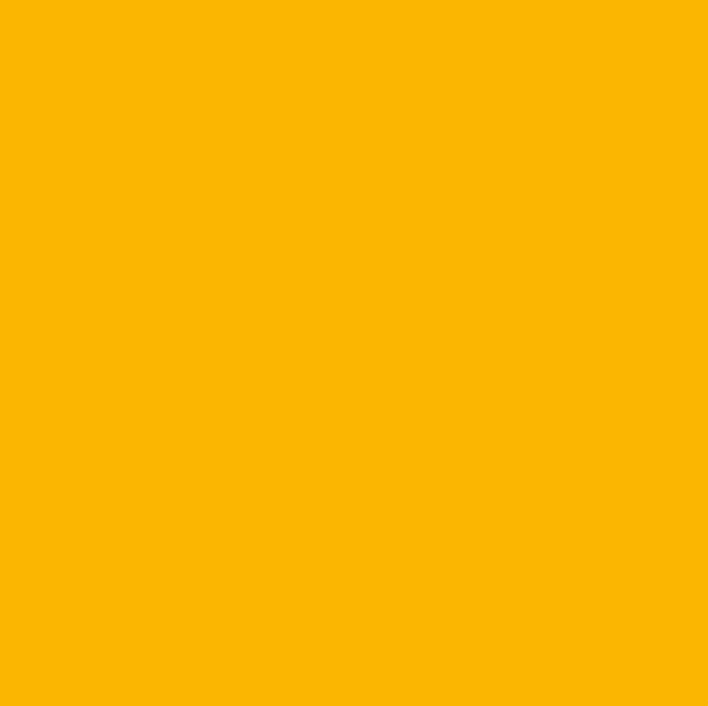 Chromacolour Cartoon Animation Cel Paint - Orange 09