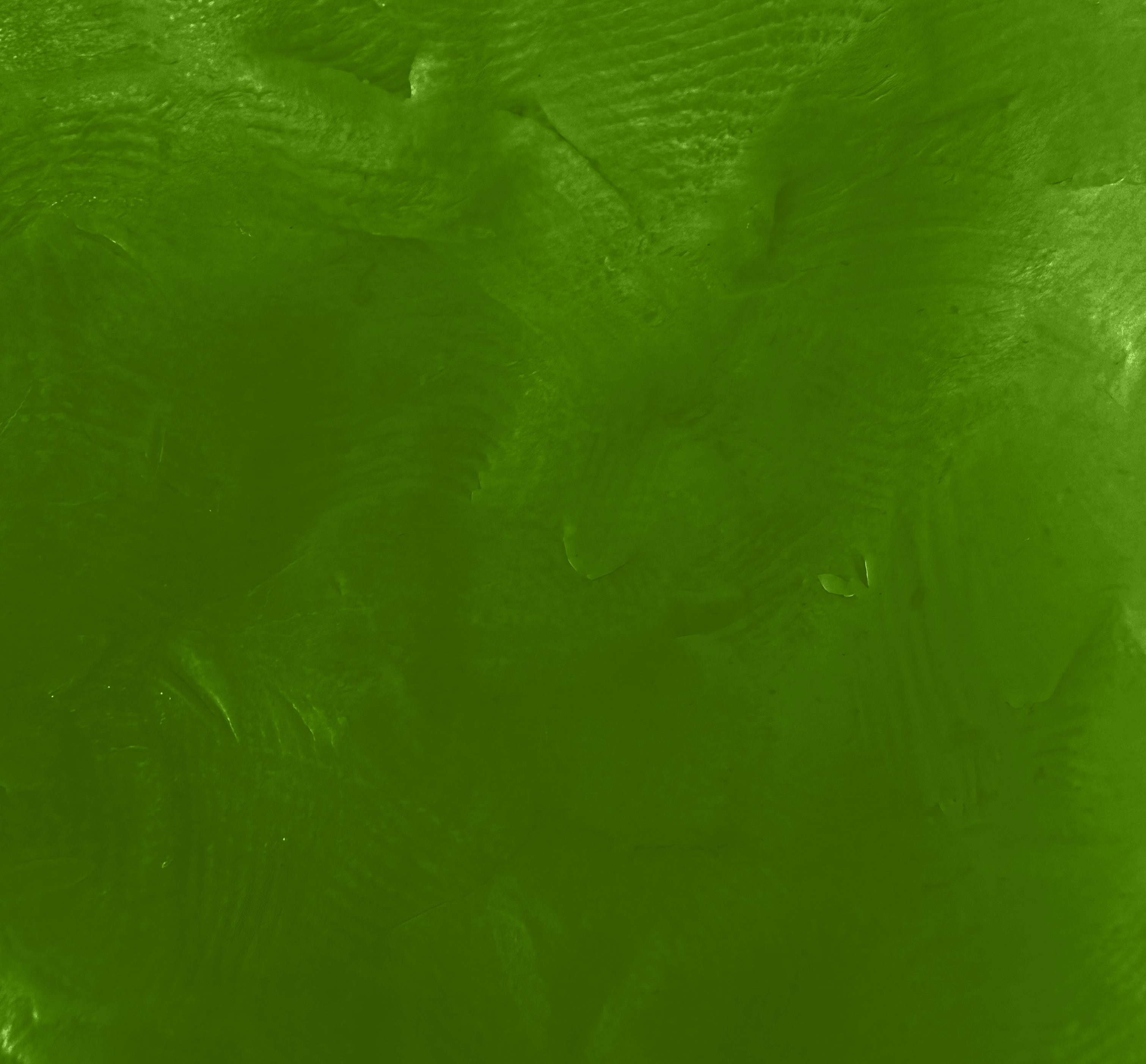 Chroma Clay - Light Green
