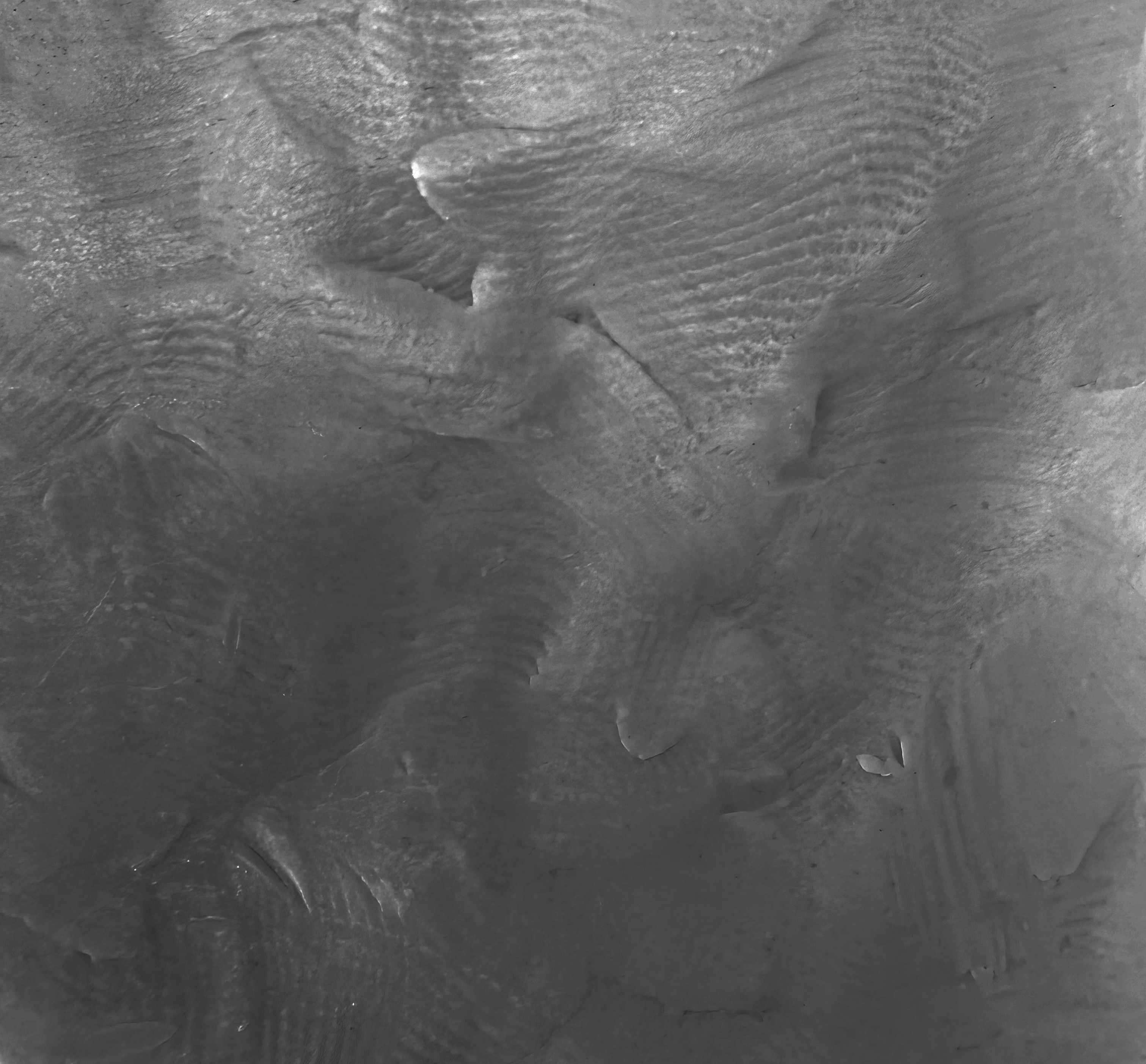 Chroma Clay - Grey