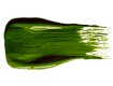Chroma Artist Colours - Sap Green 50ml Pot